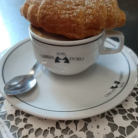 Criniera D'oro Hotel Rimini