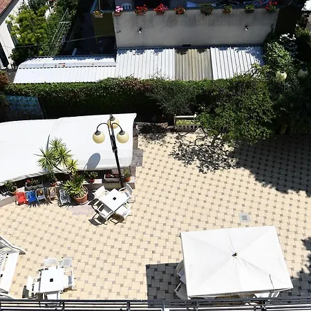 Criniera D'oro Rimini